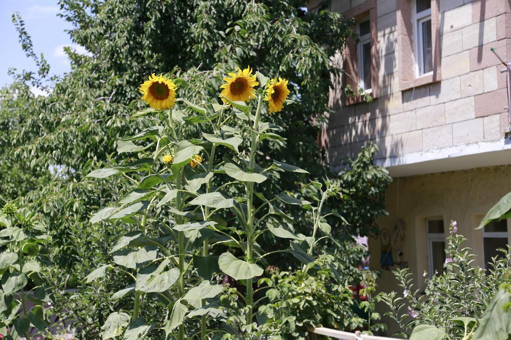 Ferienwohnung Garden Of Cappadocia Uchisar Exterior foto